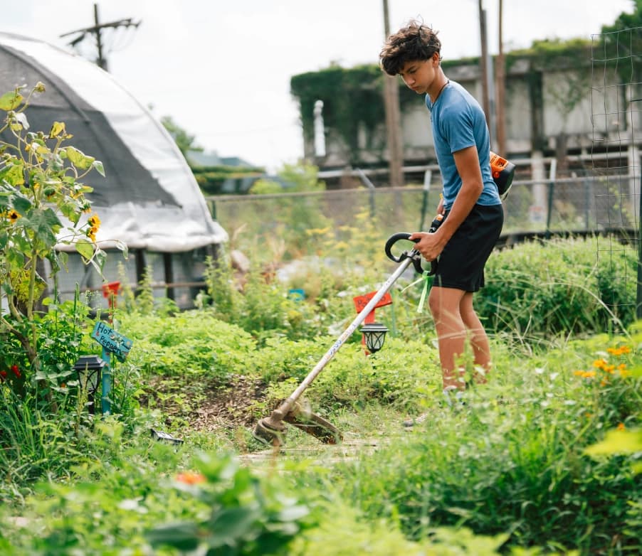 Community Gardens